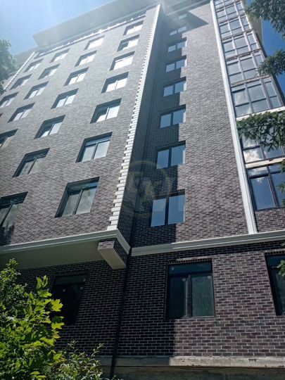 1-к. квартира, 55 м², 4/10 эт.