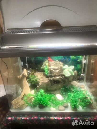 Аквариум