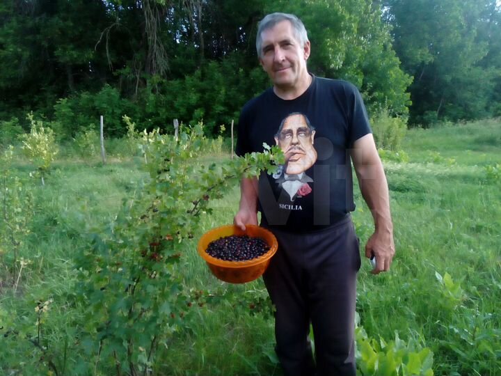 Участок 9,28 га (СНТ, ДНП)