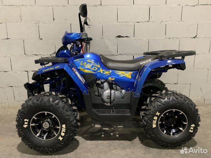 Квадроцикл MotoLand 125 wild X PRO (blue)