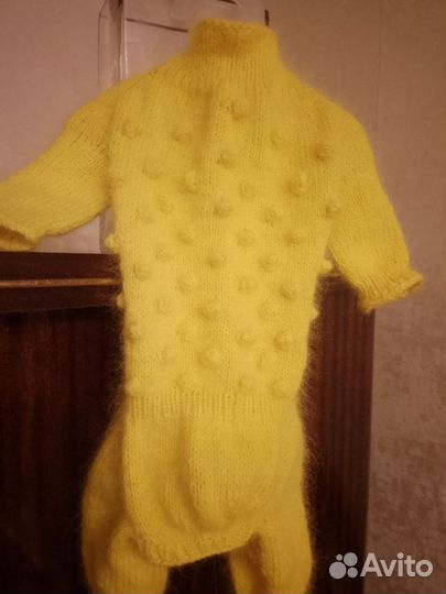 Костюм для собаки