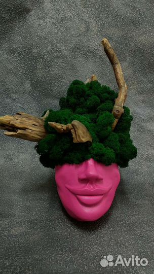 Кашпо со мхом