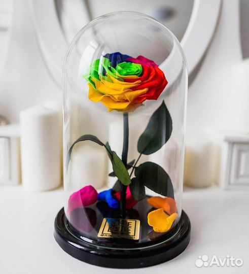 Роза в колбе. Любые размеры