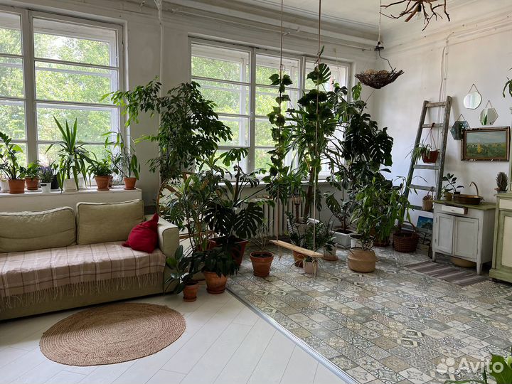 Аренда фотостудии с циклорамой и оранжереей