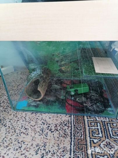 Аквариум для черепах