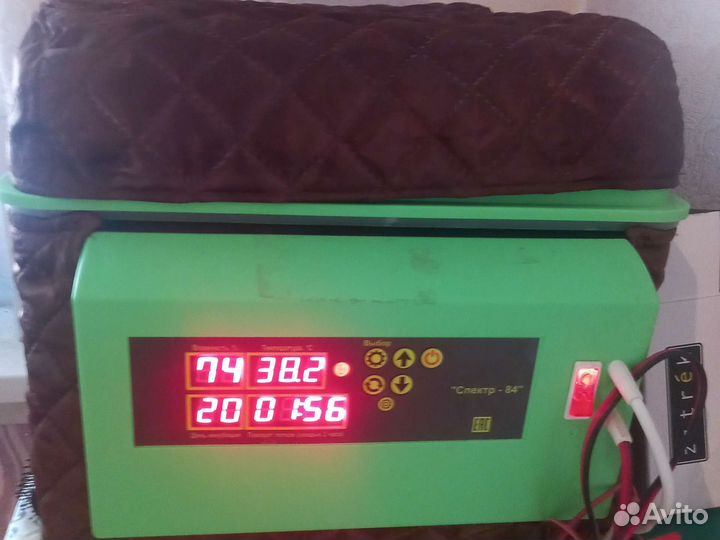 Инкубатор спектр м