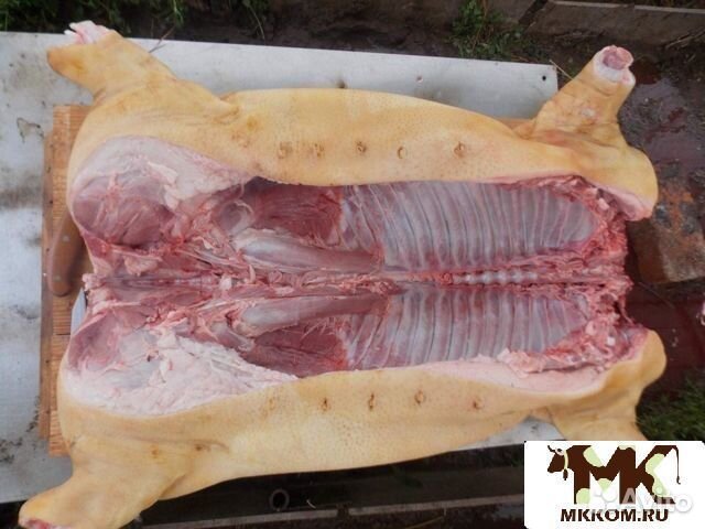 Мясо свинина домашняя