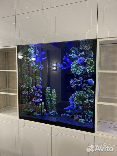 Аквариумы Фишка в наличии и на заказ, Обслуживание