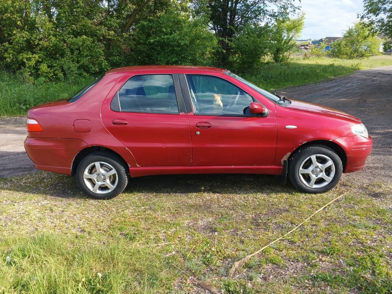 FIAT Albea: фото владельца