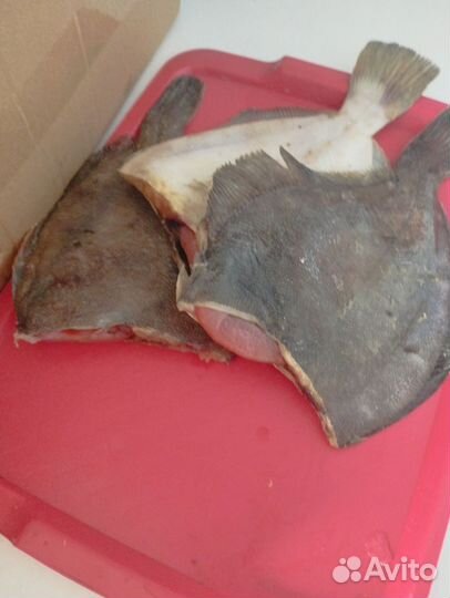 Камбала, Ёрш