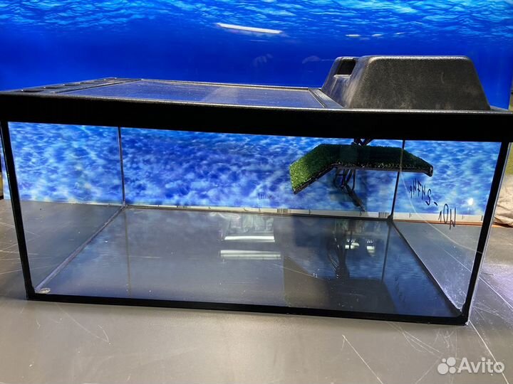 Террариум 40 литров для черепах