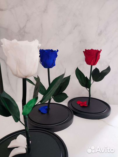 Роза в колбе