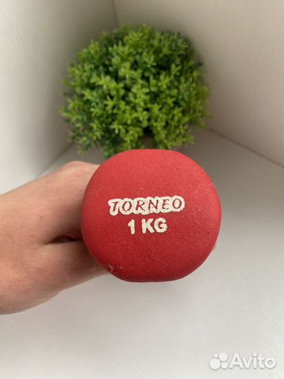 Гантель torneo 1 кг