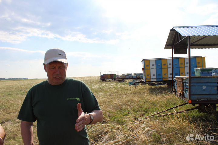 Мёд натуральный - своя пасека. Опт и розн, Иркутск