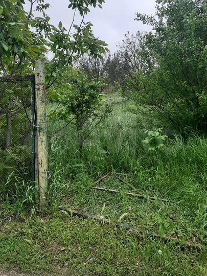 Участок 5 сот. (ИЖС)