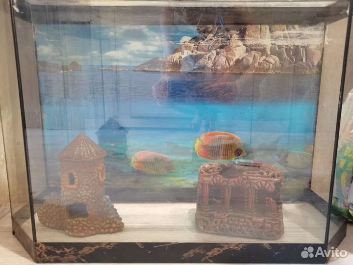Аквариум