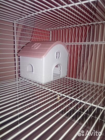 Клетка для грызунов большая