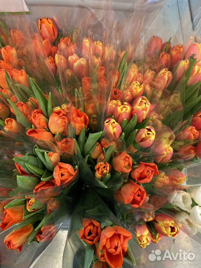 Тюльпаны к 8 марта доставка