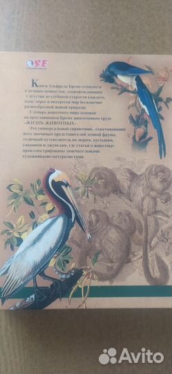 Книга о животных