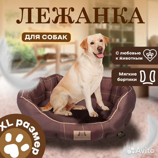 Графический дизайн инфографика