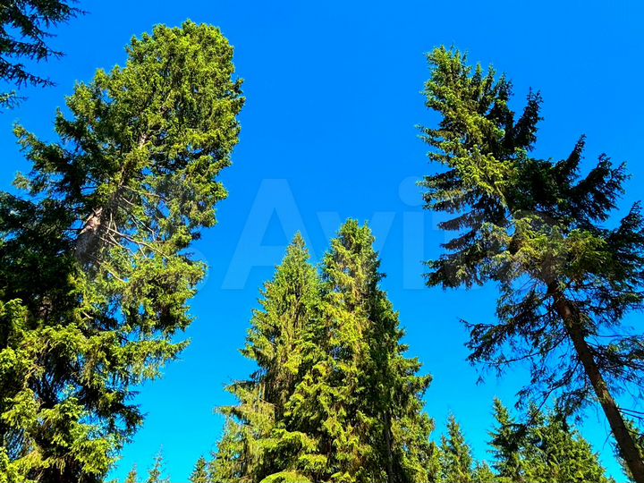 Участок 7,2 сот. (ИЖС)