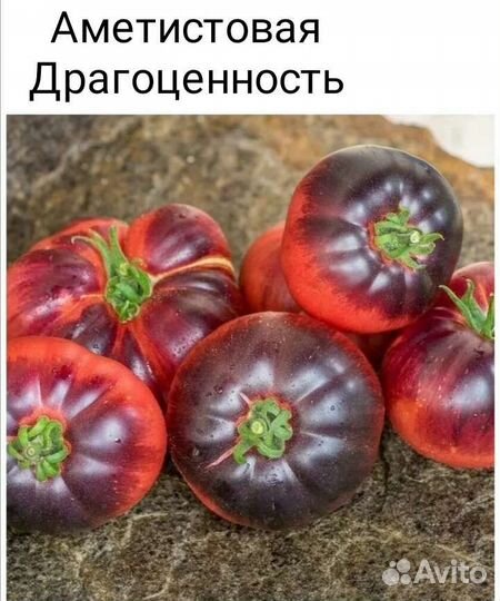 Семена томатов. Коллекционные сорта