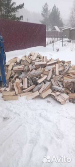 Дрова березовые