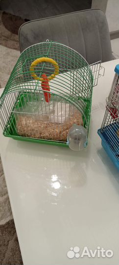 Клетка для сирийского хомяка