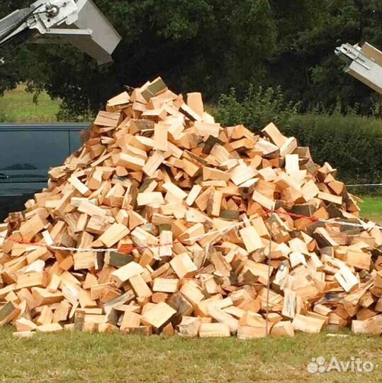 Дрова с Зеленогорска