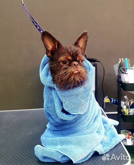 Грумер стрижка собак и кошек