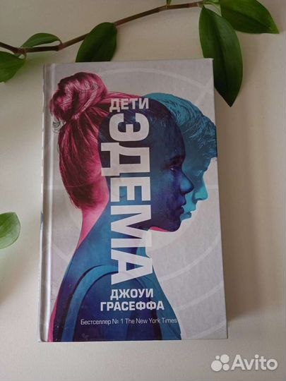 Джоуи Грасеффа 