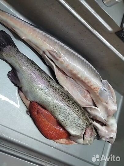 Форель с красной икрой и осетринка