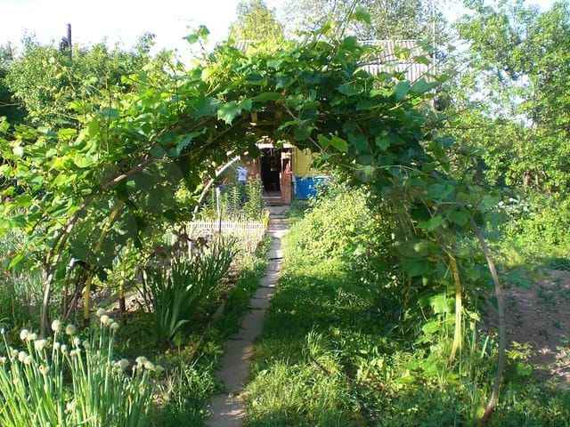 Дача 49,2 м² на участке 25 сот.