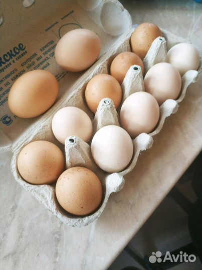 Яйца,грибы,ягоды, соленья, варенья дачные