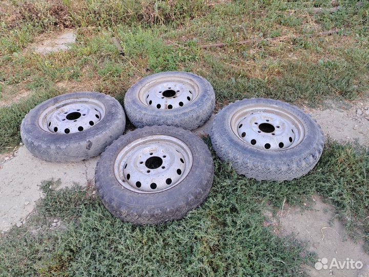 Алтайшина Forward Professional 359 175/80 R16