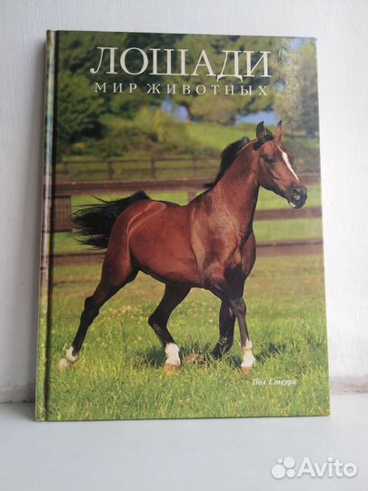 Книги о лошадях, набор 3 штуки