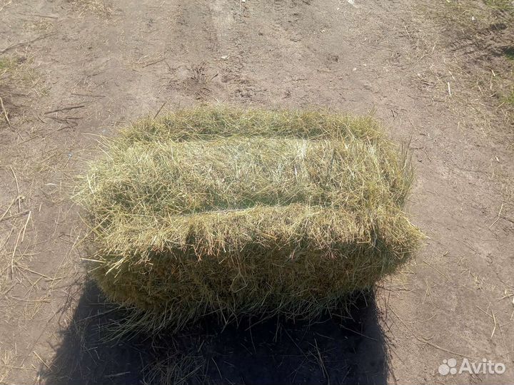 Сено в тюках