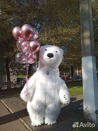 Ведущий и диджей