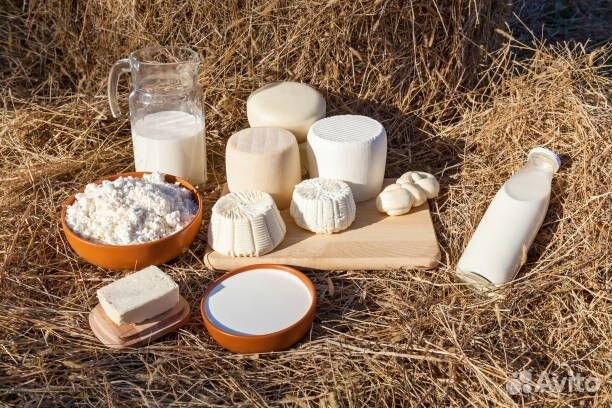 Домашняя молочная продукция