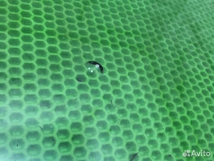 Лобовое стекло на Ниссан Альмера Класси