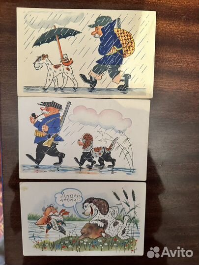 Редкие Открытки СССР