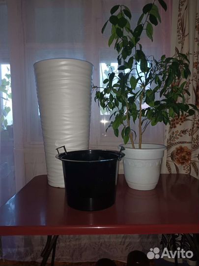 Кашпо для цветов