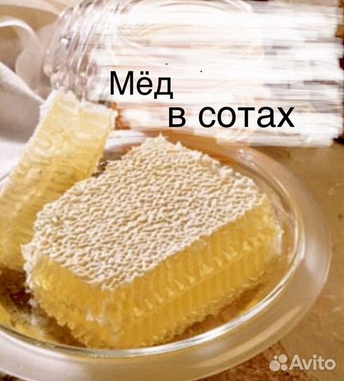 Мед в сотах липовый