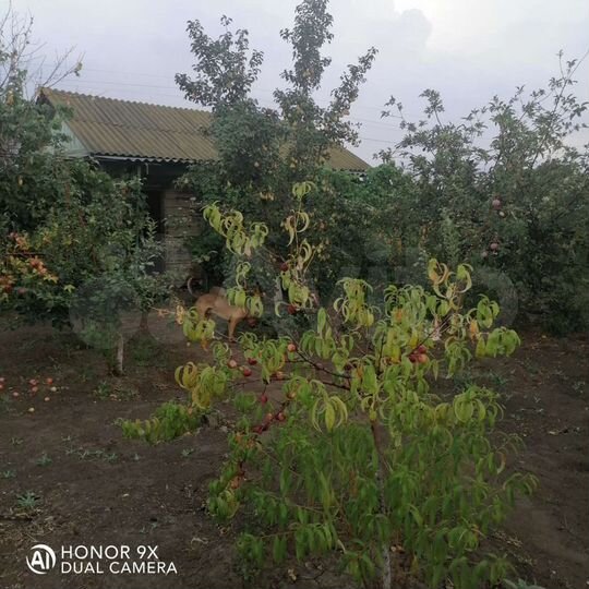 Дача 31,7 м² на участке 5 сот.