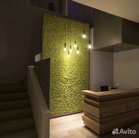 Фитопанно из мха с подсветкой