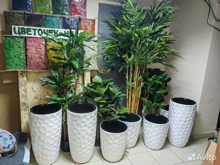 Фикус, пальма, бамбук - реалистичные деревья, от