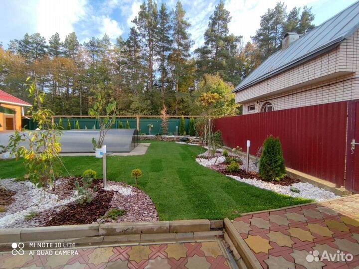 Газонная трава в рулонах и посевной