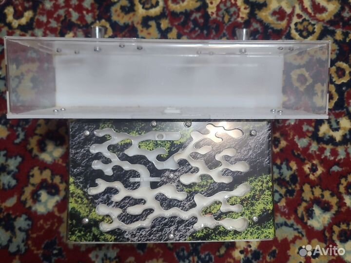 Формикарий для муравьев