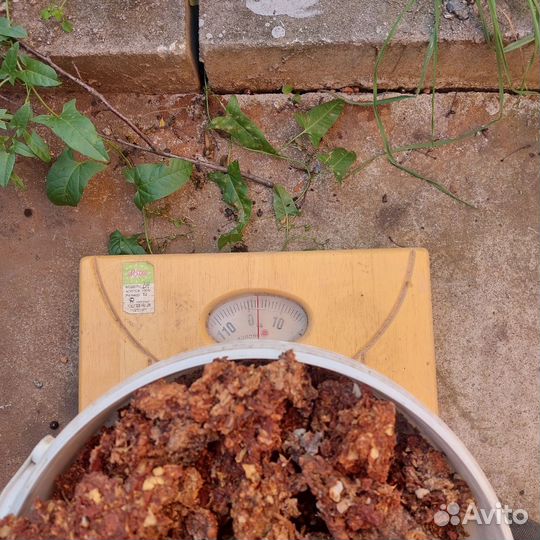 Корм для животных яблочный для гусей, уток,кур,лош