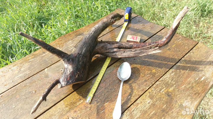 Коряги для аквариума/террариума